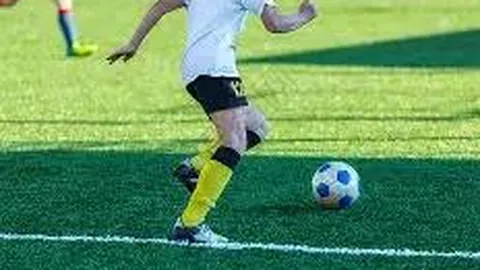 春耕繁忙重大项目快马加鞭——新年伊始，发展步伐不停歇