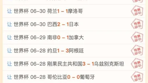 大发彩票 112306 6